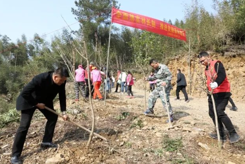 镇政府向村集体认购森林碳汇抵消机关碳排放 太湖源镇创建低碳小镇又有新“玩”法