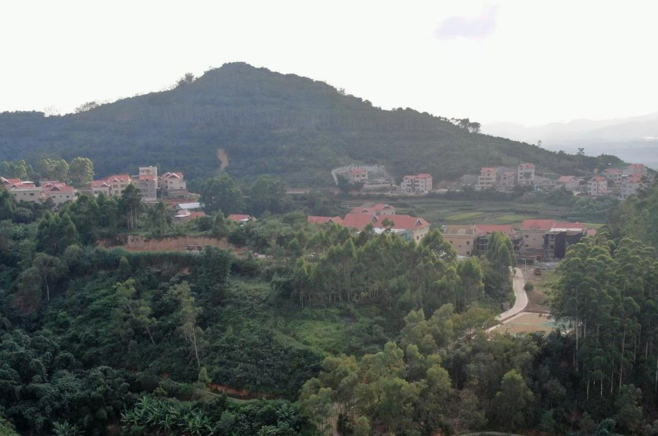 福建厦门：鼓励打造绿色生态宜居的美丽乡村